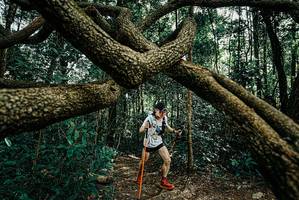 BIB: 
                            <button type="button" onclick="openModal(25664491)" class="btn btn-primary btn-sm float-right btn-popup" data-toggle="modal" data-target=".modal-high-quality">
                        <i class="fas fa-shopping-cart"></i> Add to Cart
                    </button>
                                            <button type="button" onclick="isThisMe(25664491, true)" class="btn btn-success btn-sm float-right btn-popup btn-isme hidden" data-toggle="tooltip" data-placement="bottom" title="นี่คือรูปของคุณใช่ไหม คลิกที่นี่เพื่อเอาเข้าอัลบั้ม">
                        <i class="fas fa-plus"></i> Add to album
                    </button>
                    <button type="button" onclick="isThisMe(25664491, false)" class="btn btn-warning btn-sm float-right btn-popup btn-isnotme hidden">
                        <i class="fas fa-ban"></i> Remove from album
                    </button>